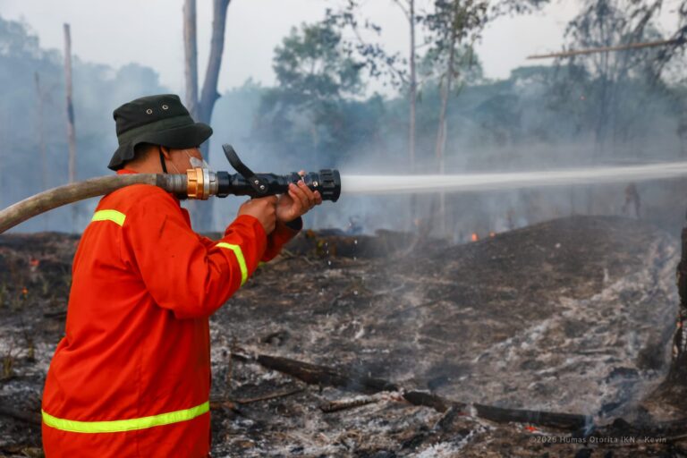 Petugas damkar memadamkan karhutla di zona inti IKN Sepaku